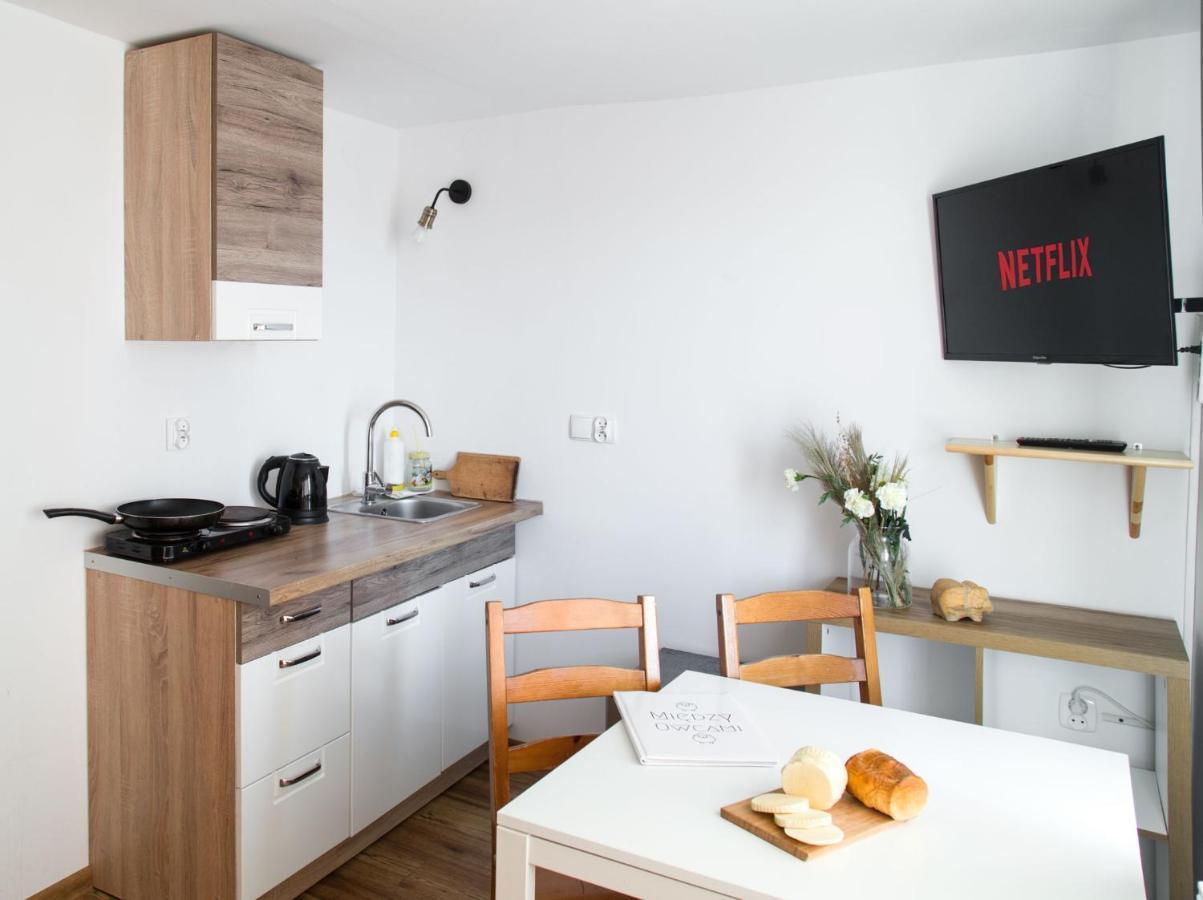 Miedzy Owcami Apartment สโรโมฟเซ วิชเน ภายนอก รูปภาพ