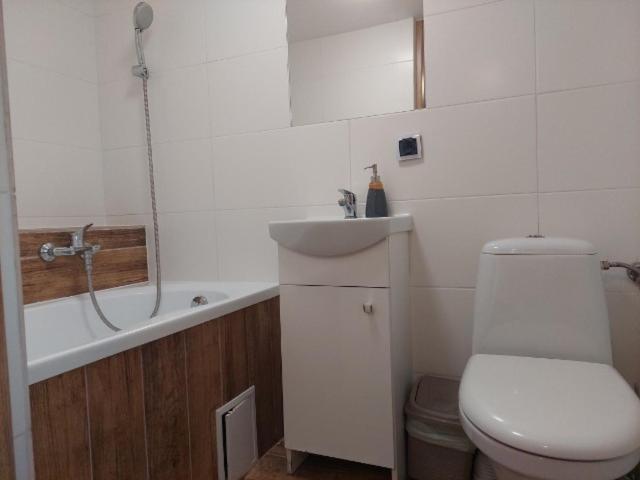 Miedzy Owcami Apartment สโรโมฟเซ วิชเน ภายนอก รูปภาพ