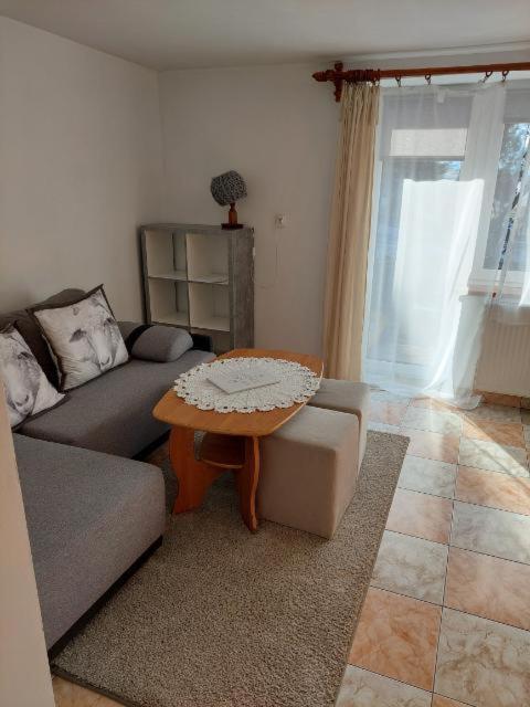 Miedzy Owcami Apartment สโรโมฟเซ วิชเน ภายนอก รูปภาพ